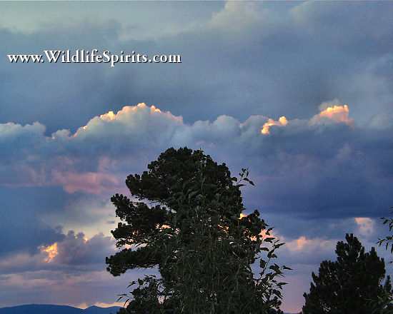 Click Picture to send as an  E-PostCard 55k 550x440